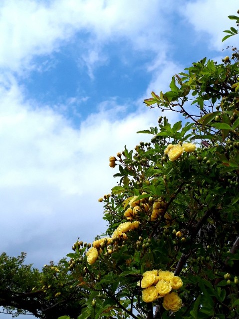 f:id:Akanji:20210403211929j:image f:id:Akanji:20210403211929j:image
