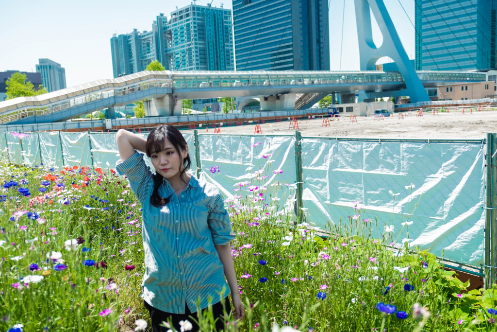 f:id:Akano:20180505125652j:plain