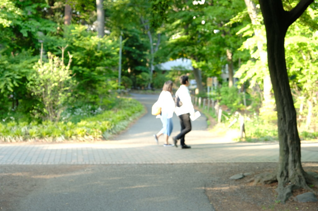 f:id:Akano:20180505165755j:plain