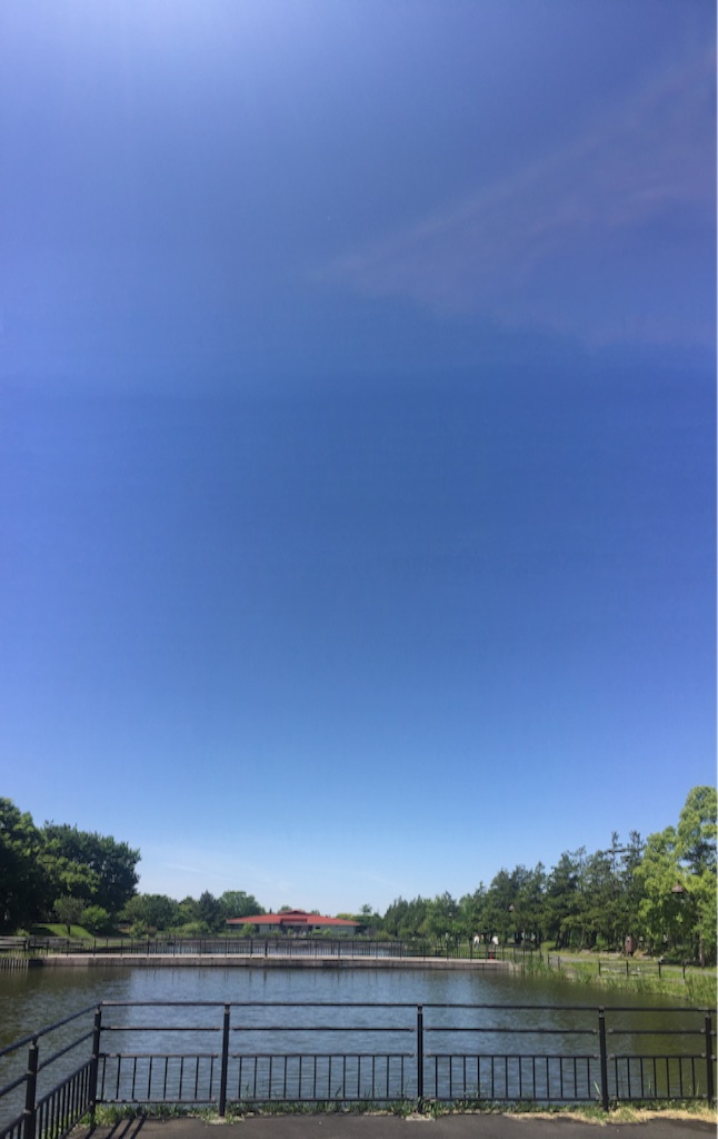 f:id:AkasakaIchiro:20160508162832j:image f:id:AkasakaIchiro:20160508162832j:image