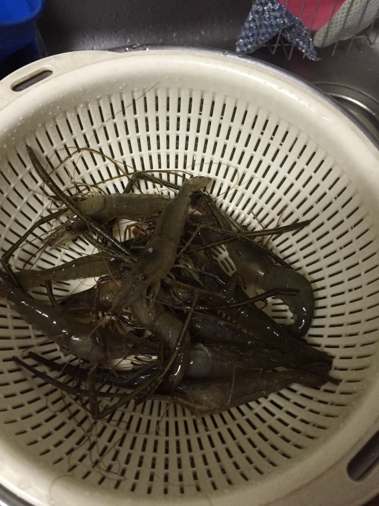 f:id:AkasakaIchiro:20160612004504j:image f:id:AkasakaIchiro:20160612004504j:image