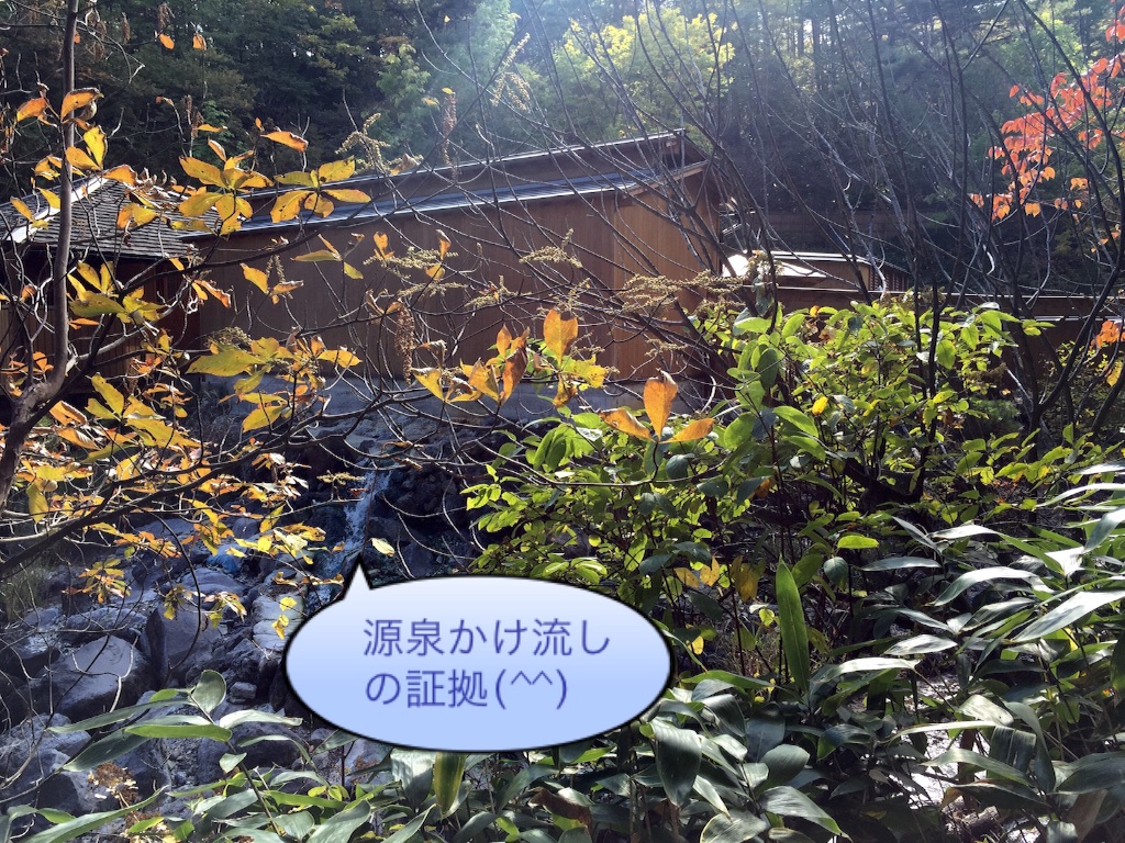 f:id:AkasakaIchiro:20161016205008j:image f:id:AkasakaIchiro:20161016205008j:image