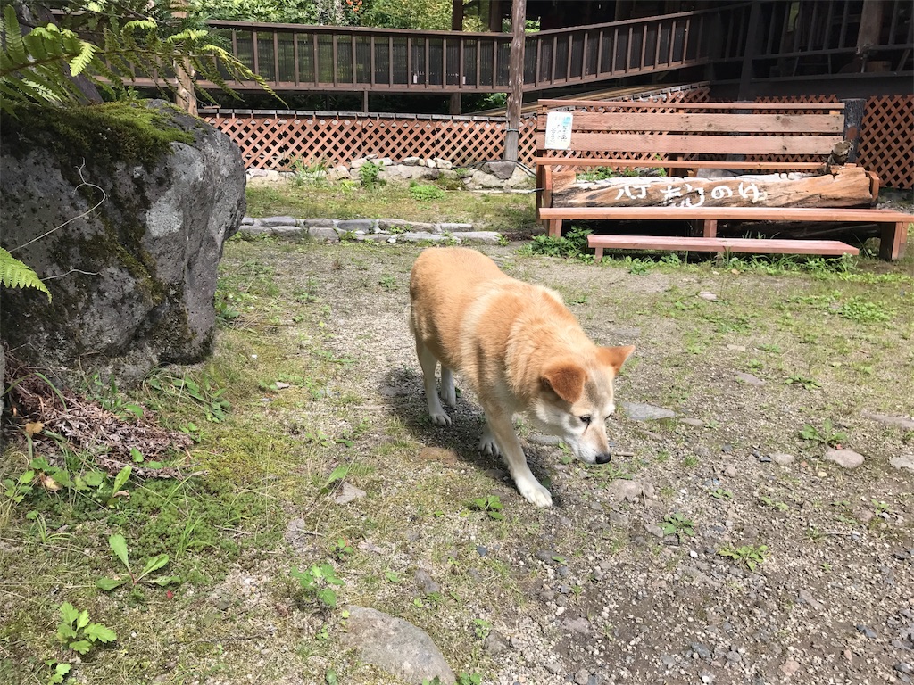 f:id:AkasakaIchiro:20170905234946j:image