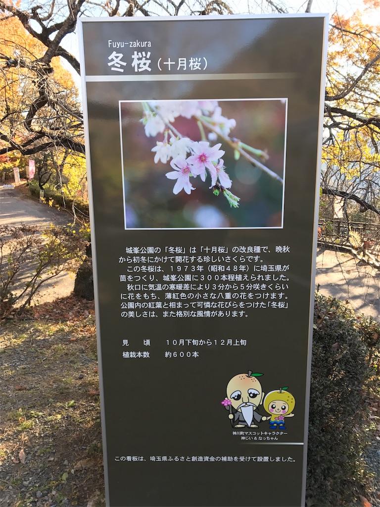 f:id:AkasakaIchiro:20171119174515j:image f:id:AkasakaIchiro:20171119174515j:image