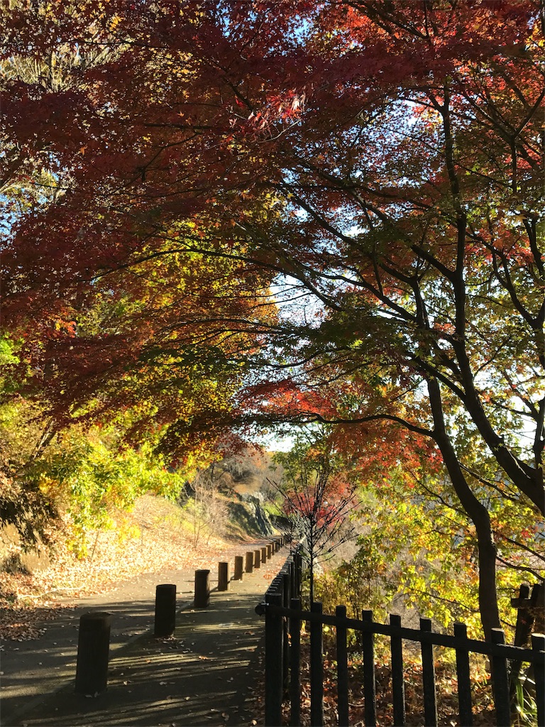 f:id:AkasakaIchiro:20171119174540j:image f:id:AkasakaIchiro:20171119174540j:image