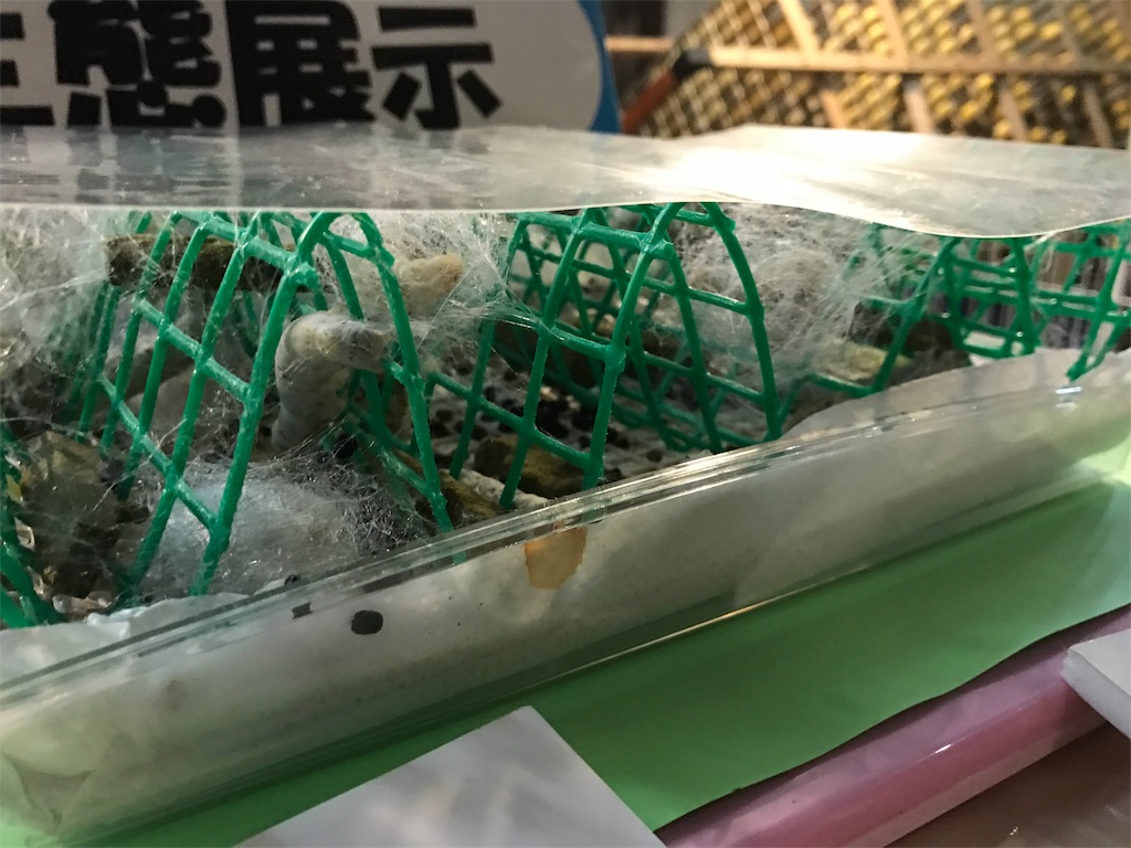 f:id:AkasakaIchiro:20171119175231j:image f:id:AkasakaIchiro:20171119175231j:image