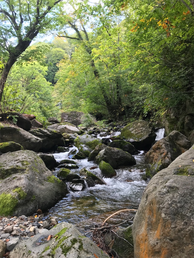f:id:AkasakaIchiro:20180930072533j:image f:id:AkasakaIchiro:20180930072533j:image