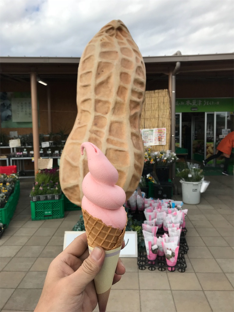 f:id:AkasakaIchiro:20190104202048j:image f:id:AkasakaIchiro:20190104202048j:image