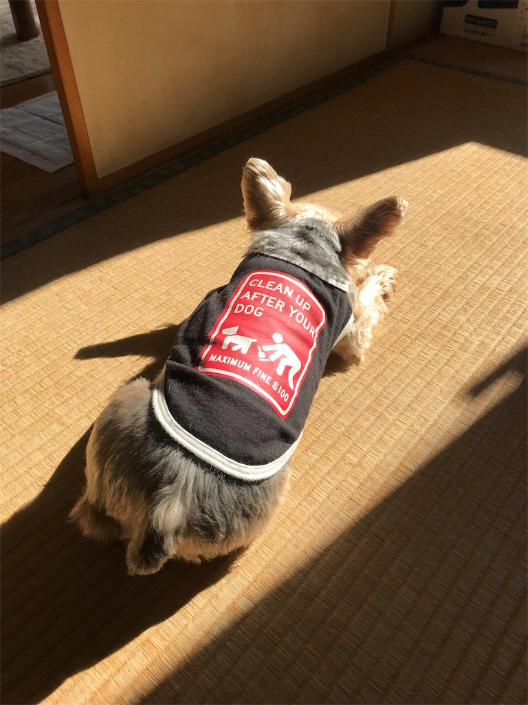 f:id:AkasakaIchiro:20190104202107j:image f:id:AkasakaIchiro:20190104202107j:image