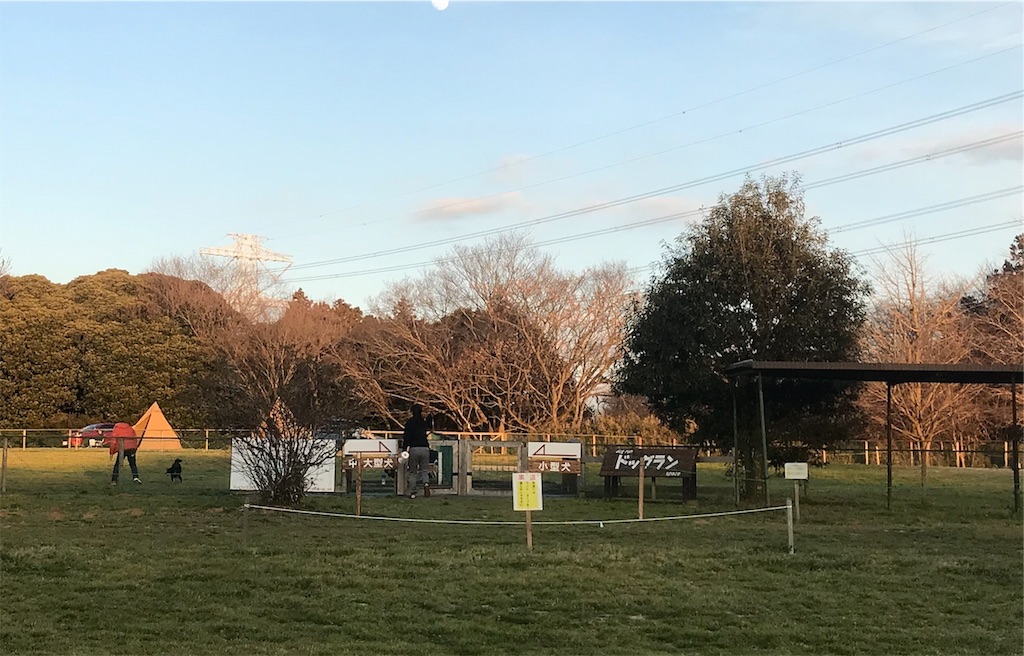 f:id:AkasakaIchiro:20190120185719j:image f:id:AkasakaIchiro:20190120185719j:image