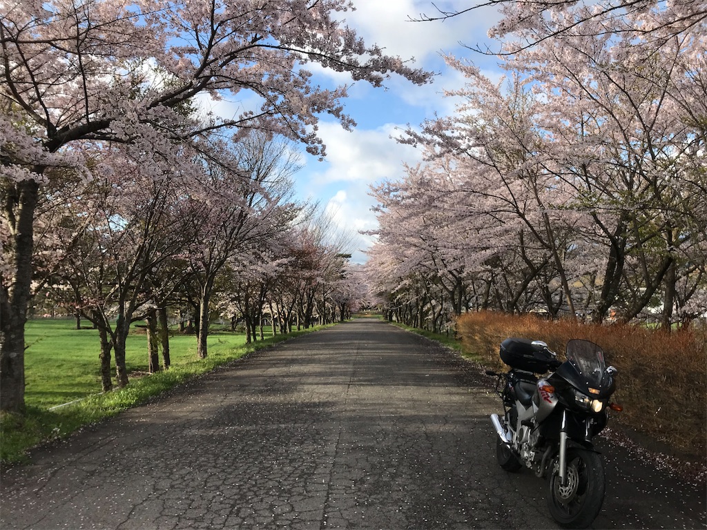 f:id:AkasakaIchiro:20190430000723j:image