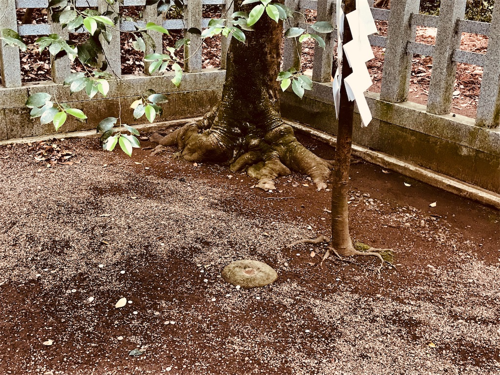 f:id:AkasakaIchiro:20190602195512j:image f:id:AkasakaIchiro:20190602195512j:image