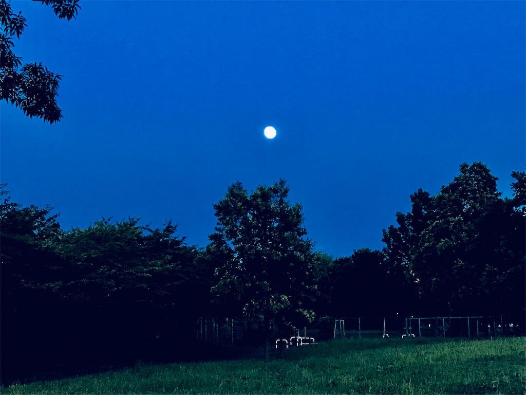 f:id:AkasakaIchiro:20190616225344j:image f:id:AkasakaIchiro:20190616225344j:image