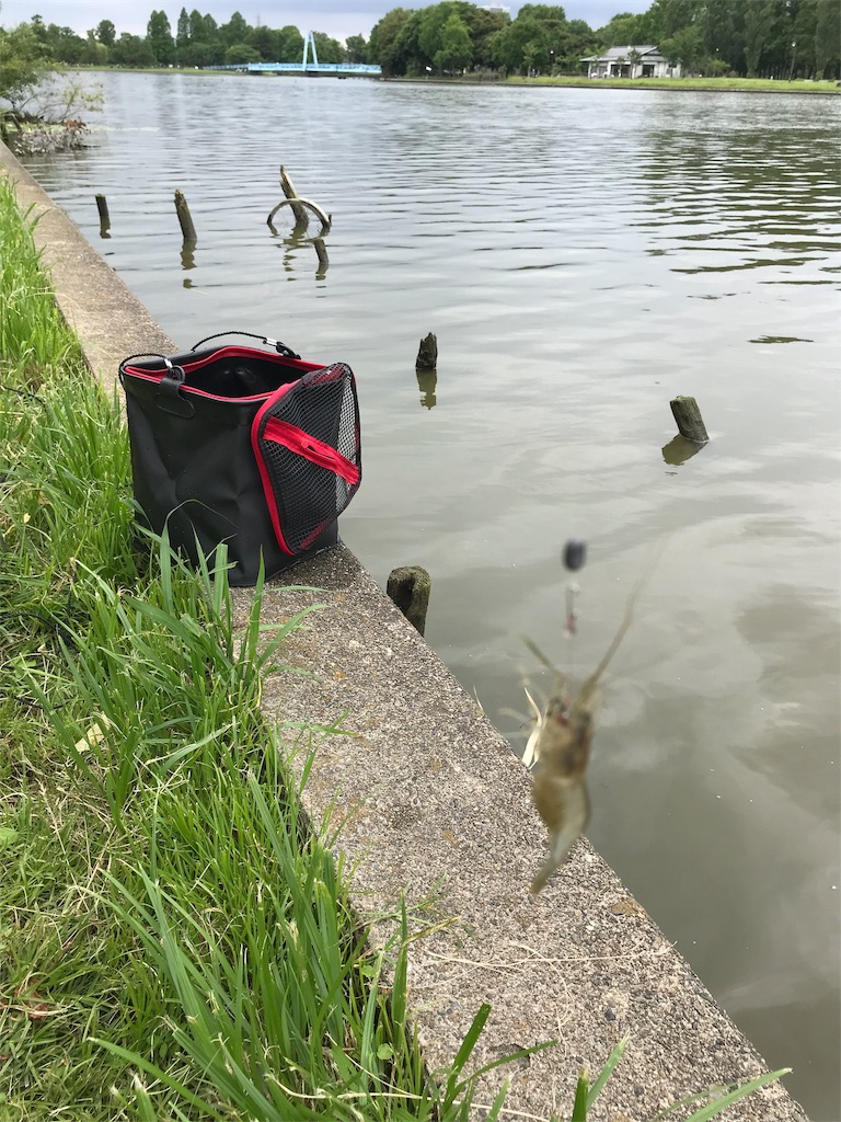 f:id:AkasakaIchiro:20190706092926j:image f:id:AkasakaIchiro:20190706092926j:image