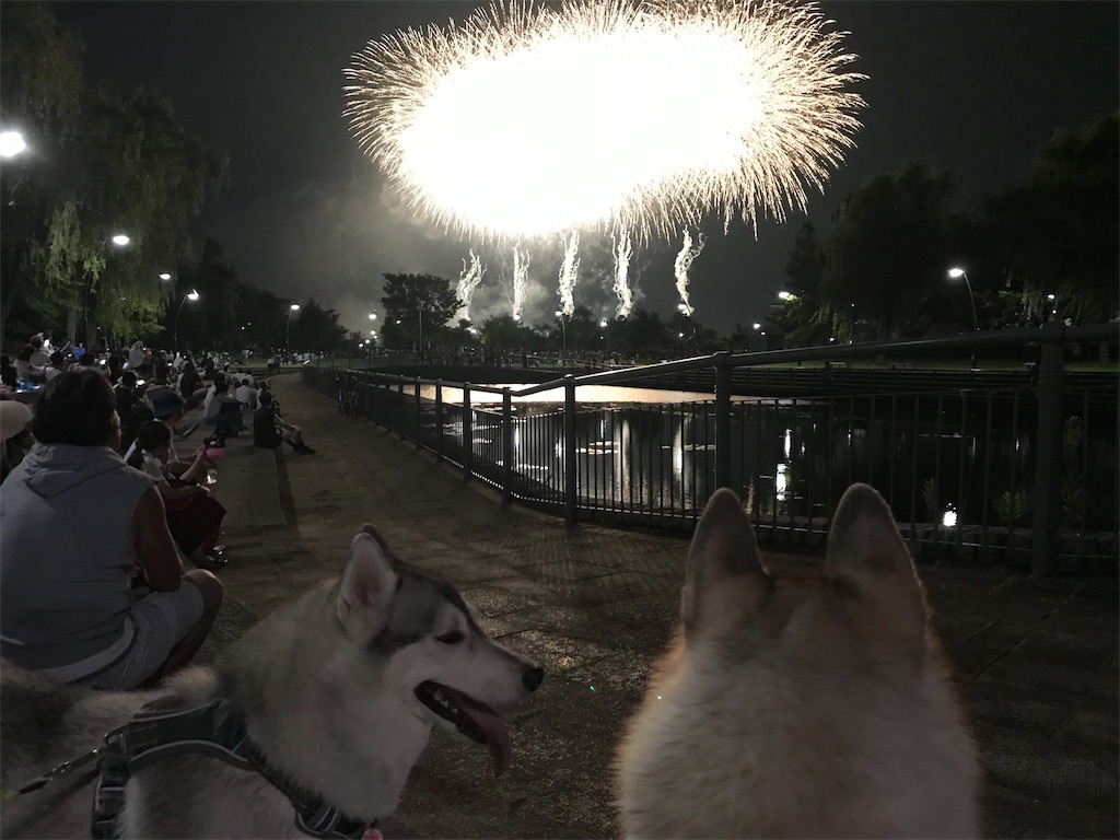 f:id:AkasakaIchiro:20190804194637j:image f:id:AkasakaIchiro:20190804194637j:image