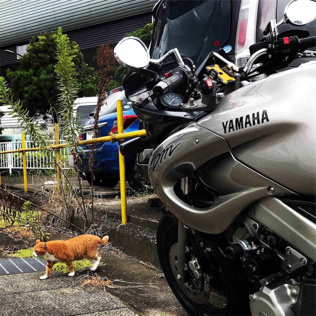 f:id:AkasakaIchiro:20190812225014j:image f:id:AkasakaIchiro:20190812225014j:image