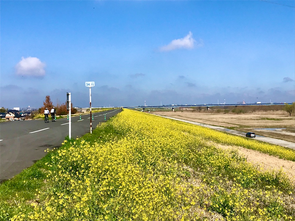 f:id:AkasakaIchiro:20200318105621j:image
