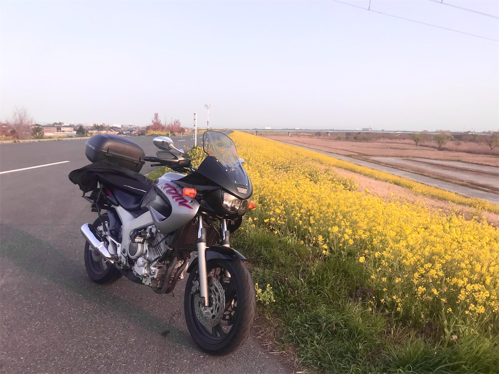 f:id:AkasakaIchiro:20200322185107j:image f:id:AkasakaIchiro:20200322185107j:image