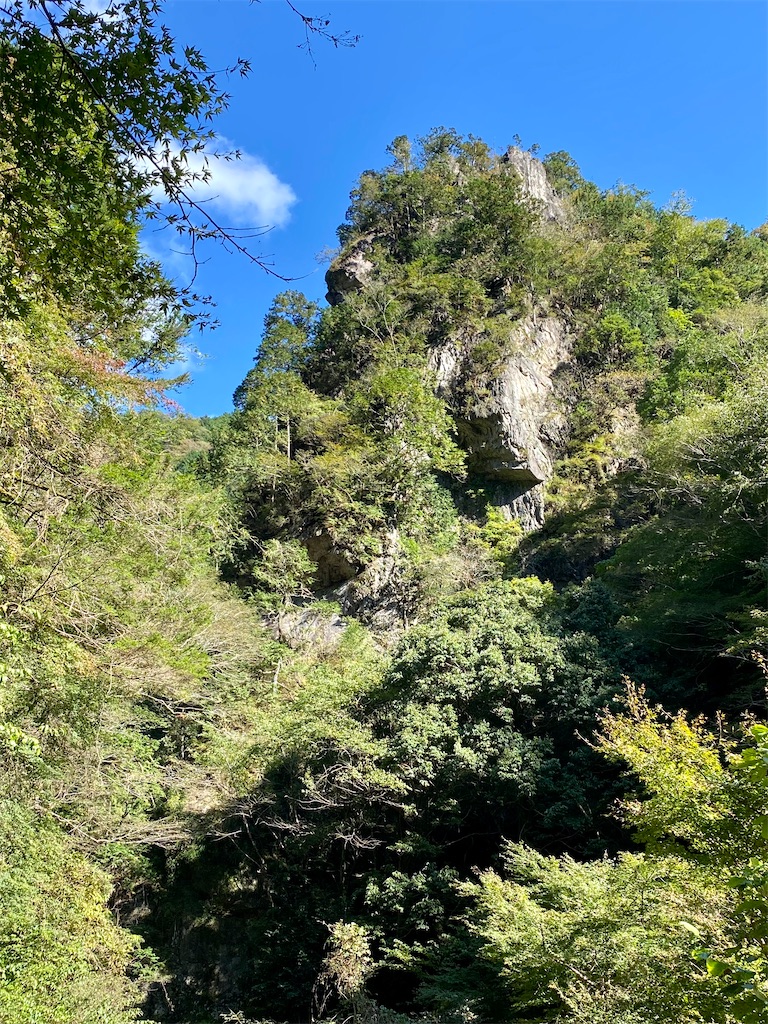 f:id:AkasakaIchiro:20211024222211j:image f:id:AkasakaIchiro:20211024222211j:image
