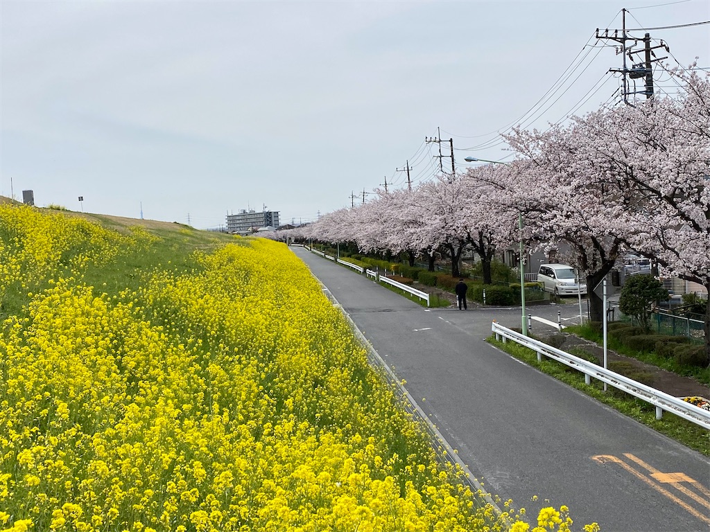 f:id:AkasakaIchiro:20220402192902j:image