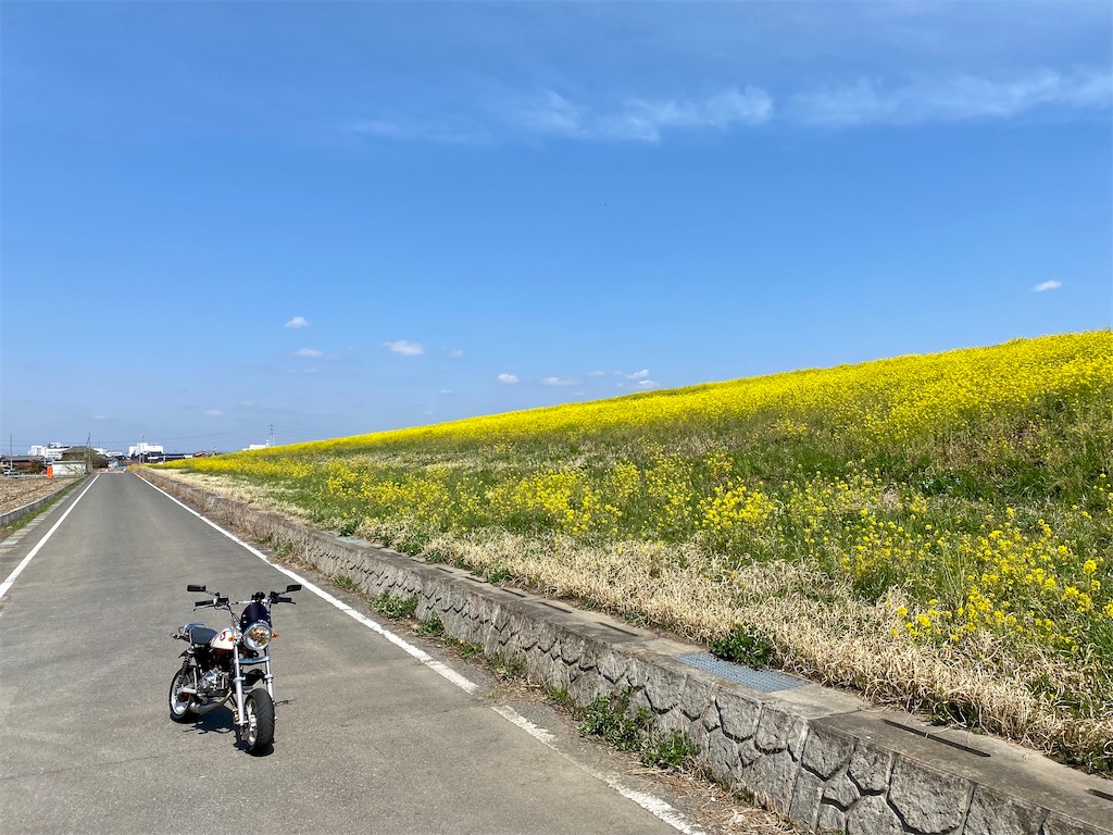 f:id:AkasakaIchiro:20220402192905j:image