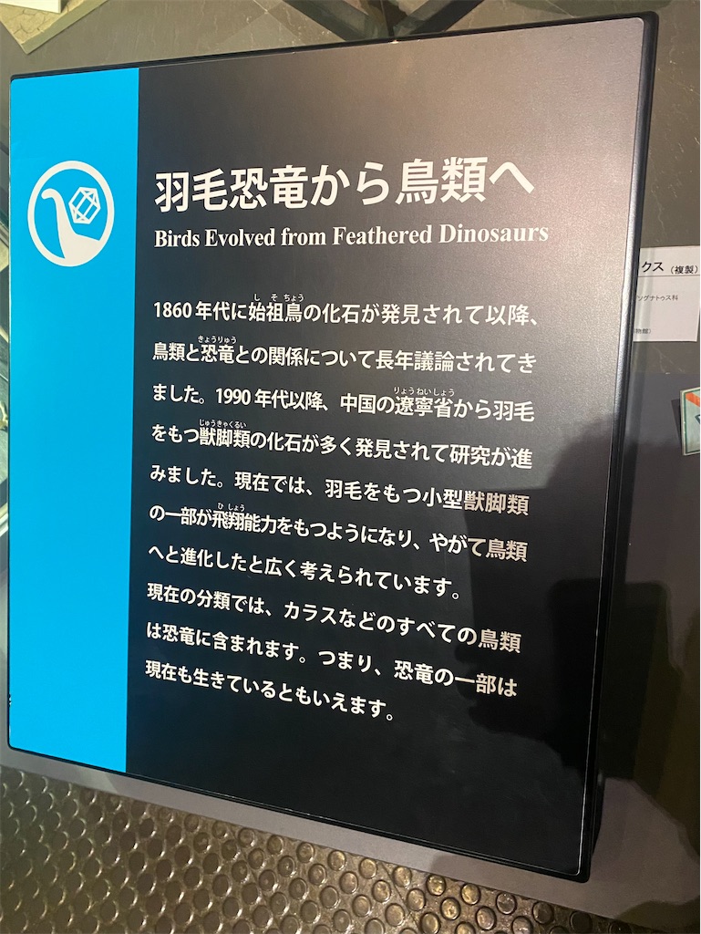 f:id:AkasakaIchiro:20230409214938j:image