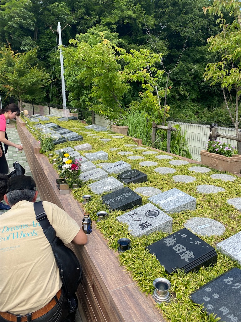f:id:AkasakaIchiro:20230611085848j:image