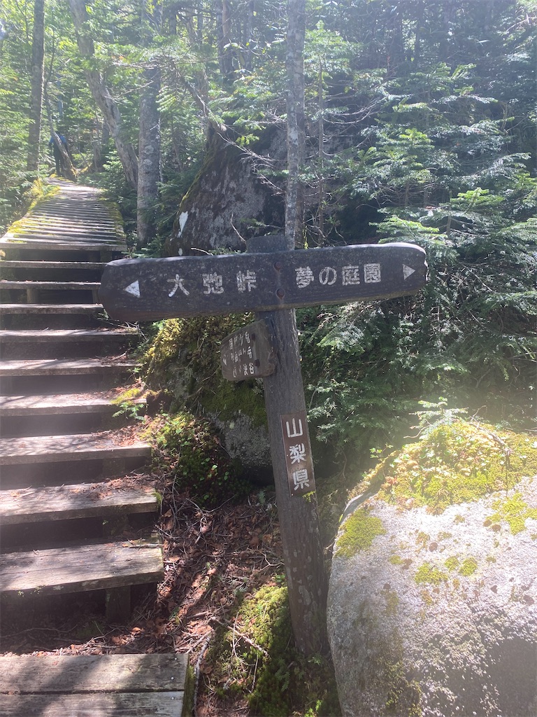 f:id:AkasakaIchiro:20230621204938j:image
