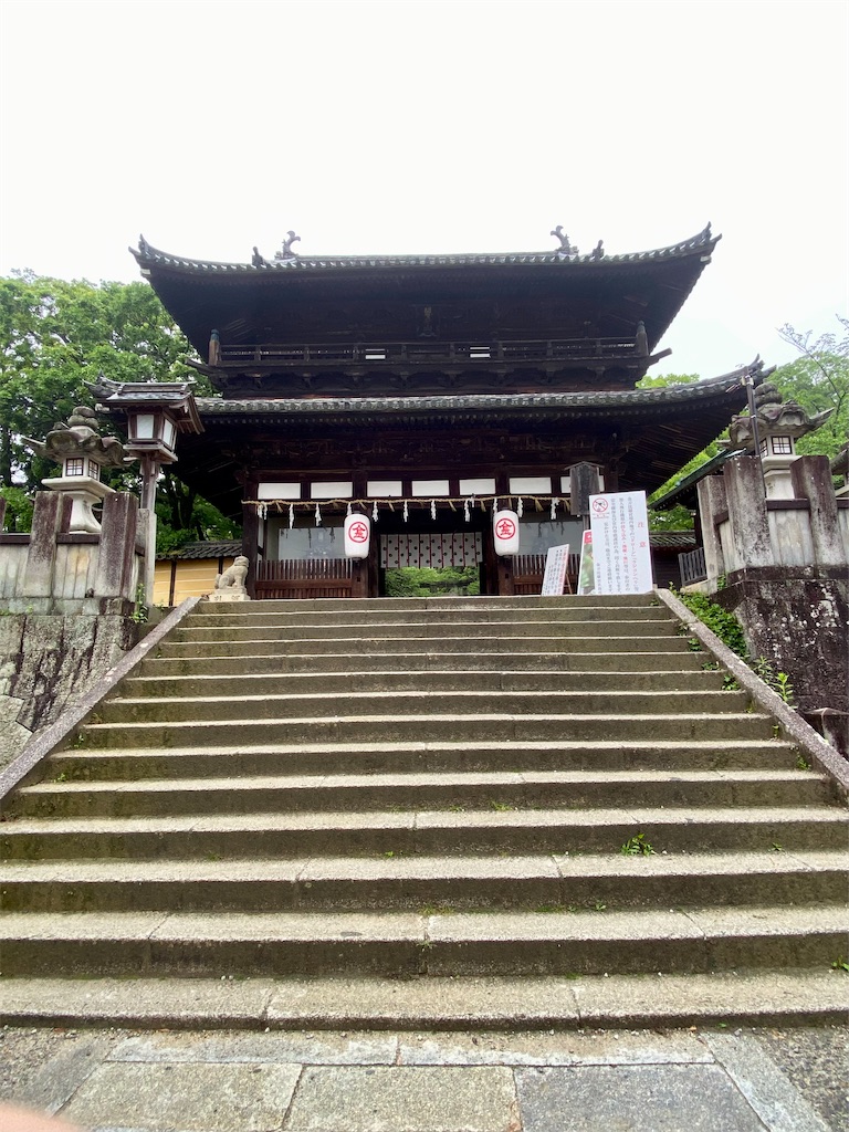 f:id:AkasakaIchiro:20240503205022j:image