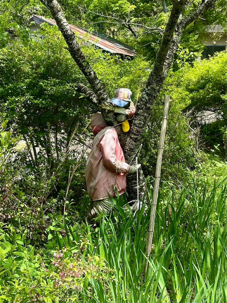 f:id:AkasakaIchiro:20240503220912j:image