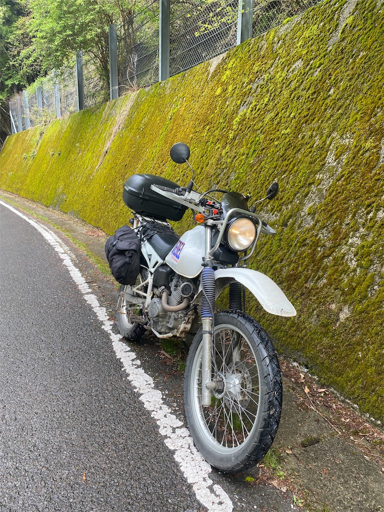 f:id:AkasakaIchiro:20240503222045j:image