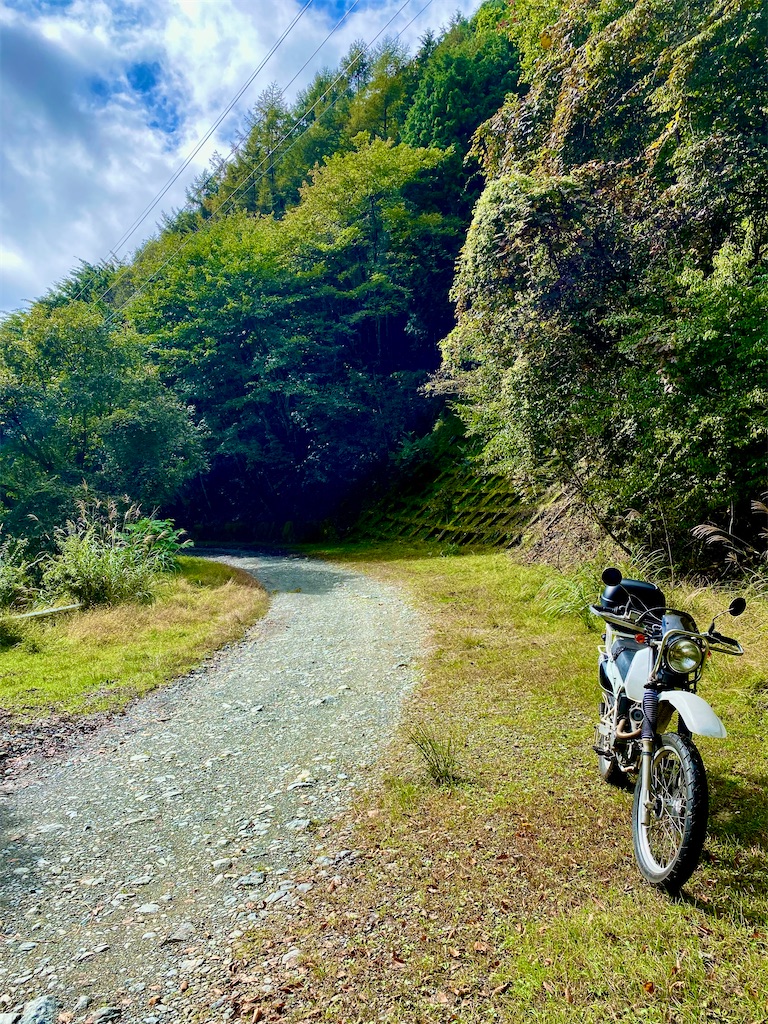 f:id:AkasakaIchiro:20241014215215j:image f:id:AkasakaIchiro:20241014215215j:image