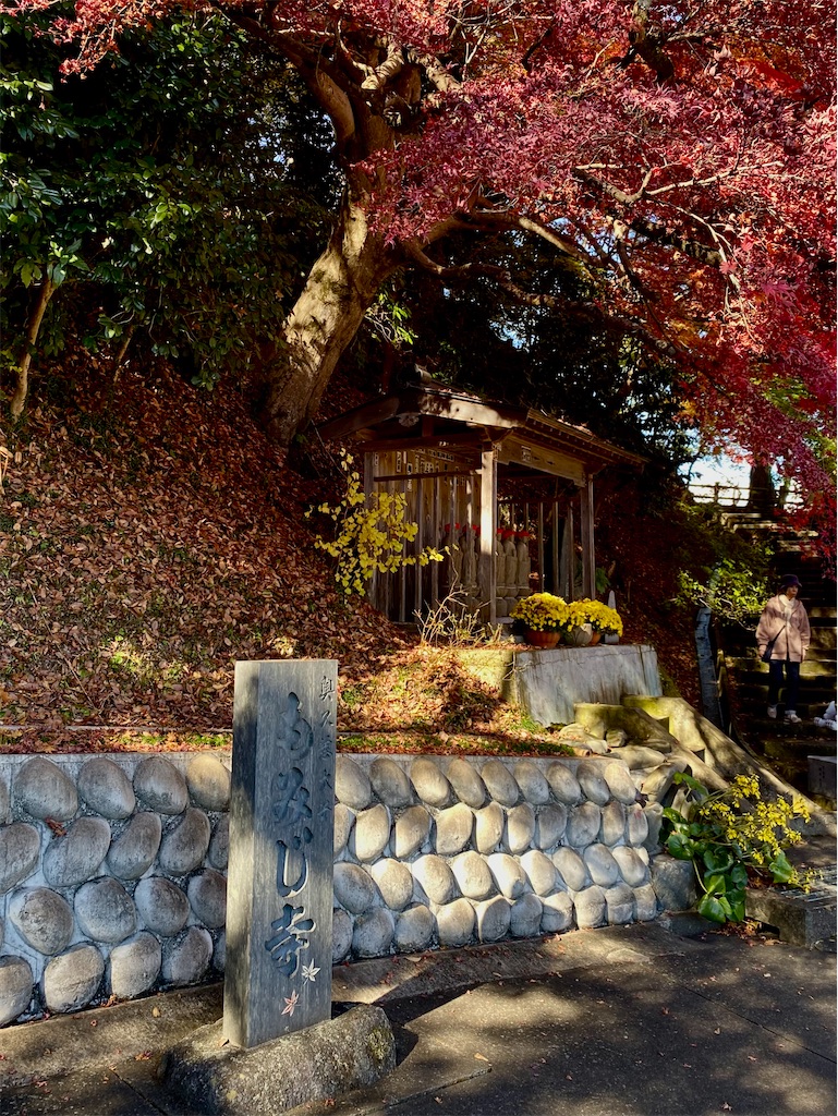 f:id:AkasakaIchiro:20241128113555j:image f:id:AkasakaIchiro:20241128113555j:image