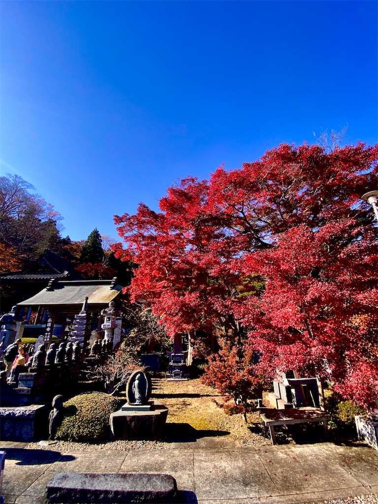 f:id:AkasakaIchiro:20241128114026j:image f:id:AkasakaIchiro:20241128114026j:image