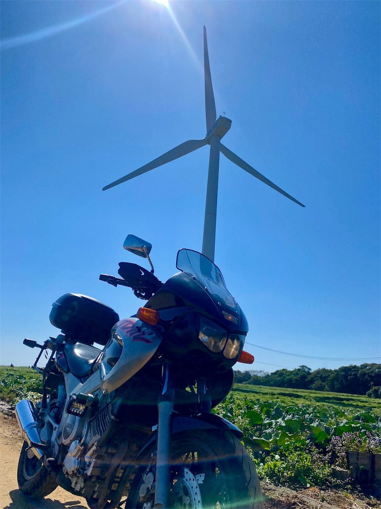 f:id:AkasakaIchiro:20250323164749j:image f:id:AkasakaIchiro:20250323164749j:image