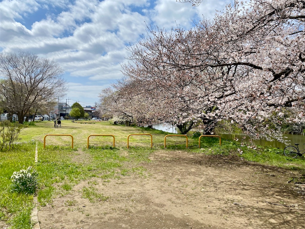 f:id:AkasakaIchiro:20250413211350j:image f:id:AkasakaIchiro:20250413211350j:image
