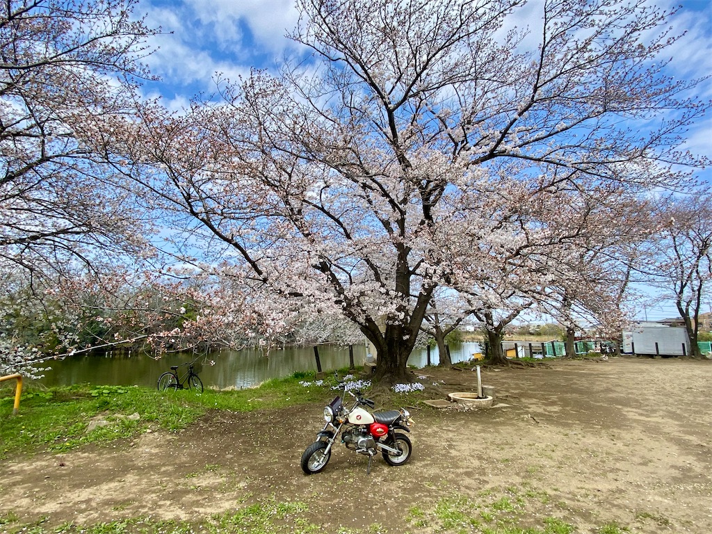 f:id:AkasakaIchiro:20250413211450j:image f:id:AkasakaIchiro:20250413211450j:image