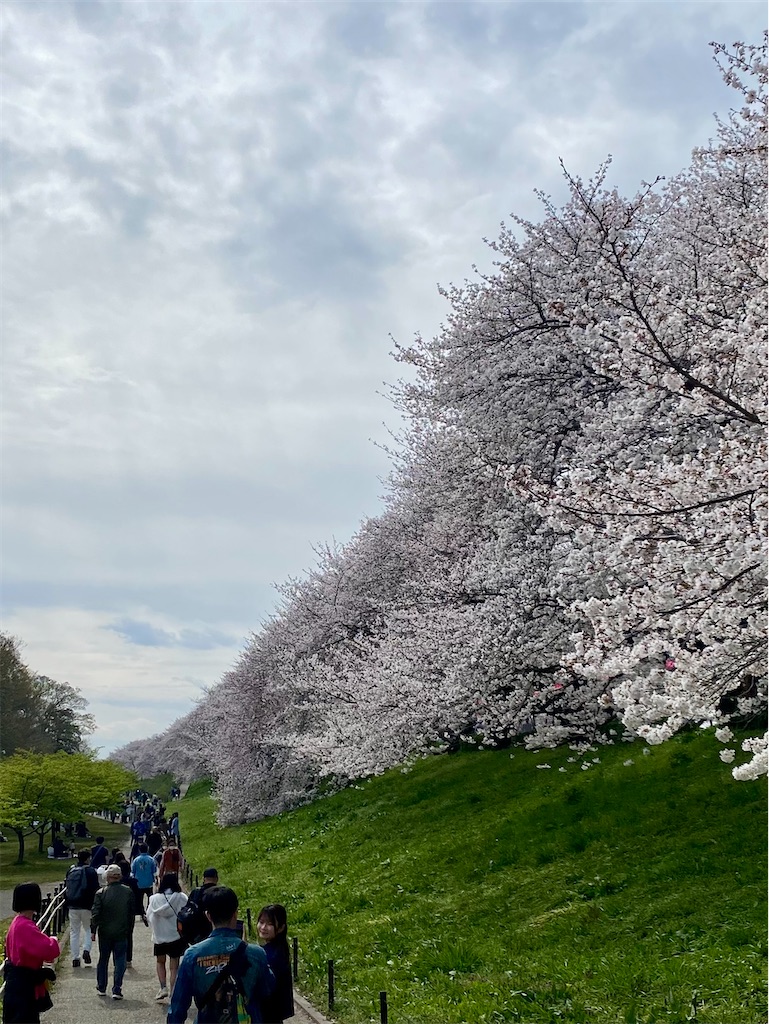 f:id:AkasakaIchiro:20250415120047j:image f:id:AkasakaIchiro:20250415120047j:image