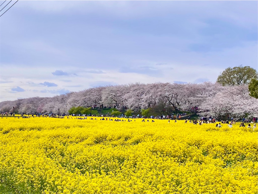 f:id:AkasakaIchiro:20250415120052j:image f:id:AkasakaIchiro:20250415120052j:image