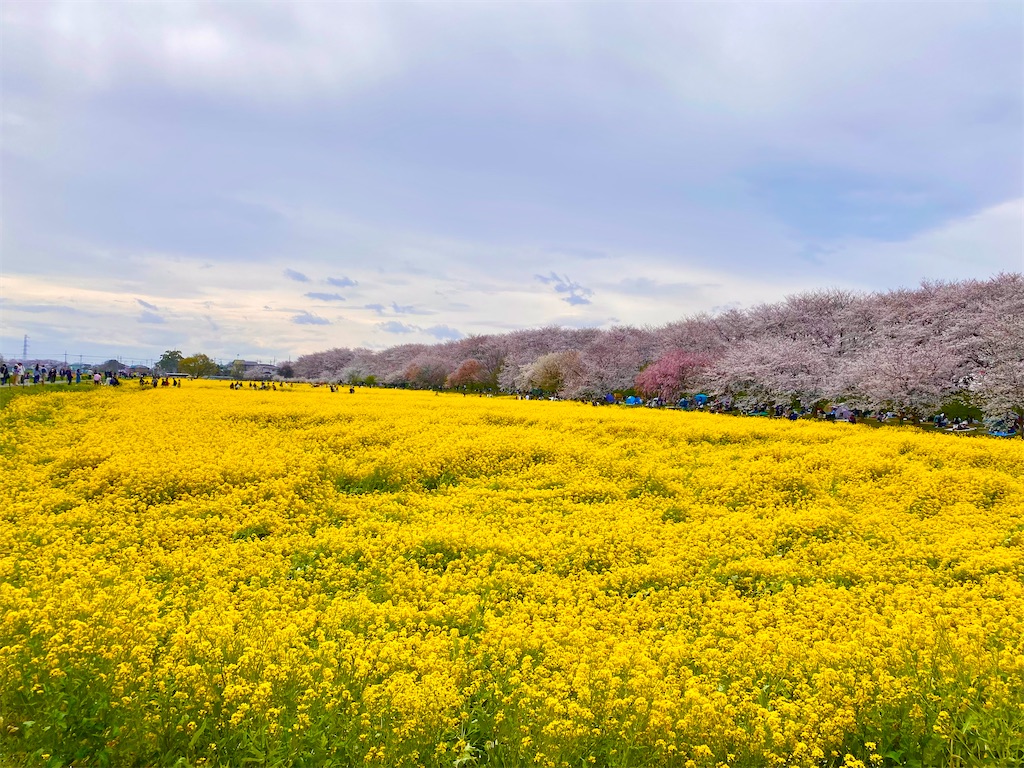 f:id:AkasakaIchiro:20250415120056j:image f:id:AkasakaIchiro:20250415120056j:image