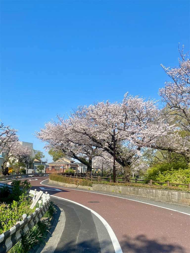 f:id:AkasakaIchiro:20250420233053j:image f:id:AkasakaIchiro:20250420233053j:image