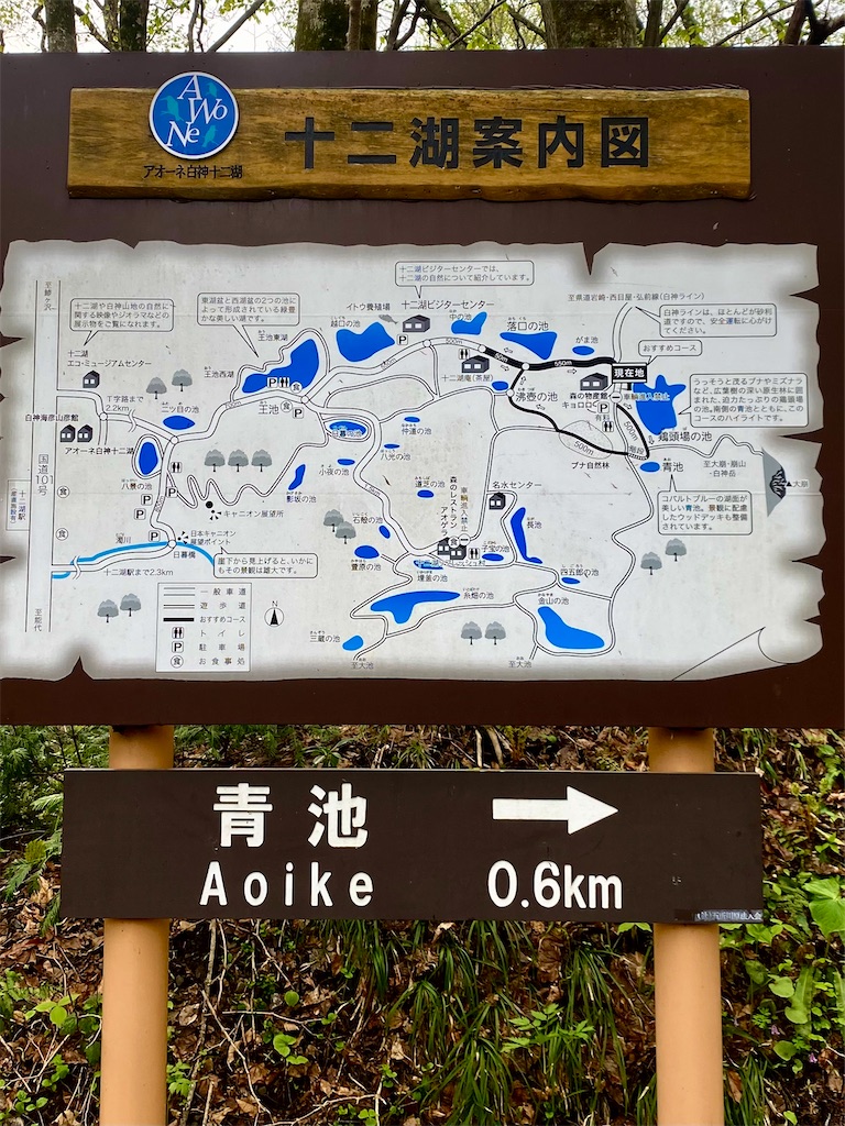 f:id:AkasakaIchiro:20250506171914j:image f:id:AkasakaIchiro:20250506171914j:image