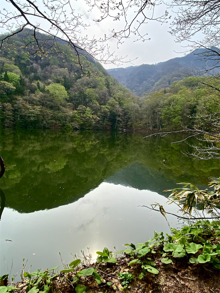f:id:AkasakaIchiro:20250506171917j:image f:id:AkasakaIchiro:20250506171917j:image