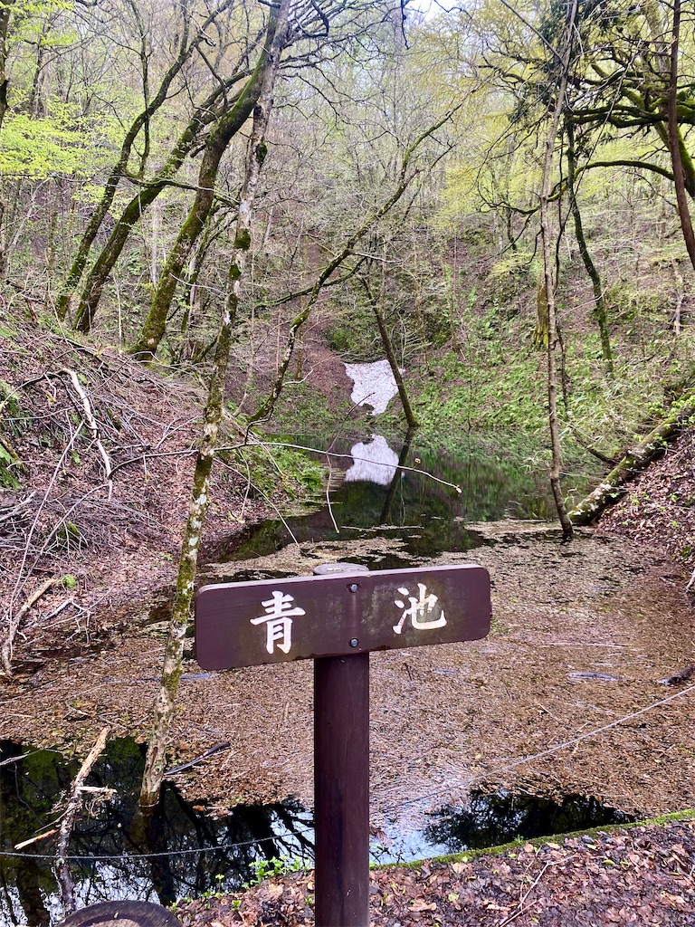 f:id:AkasakaIchiro:20250506171956j:image f:id:AkasakaIchiro:20250506171956j:image