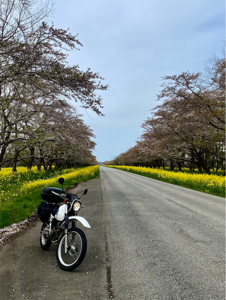 f:id:AkasakaIchiro:20250506172151j:image f:id:AkasakaIchiro:20250506172151j:image