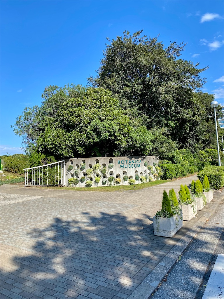 f:id:AkasakaIchiro:20251124213547j:image f:id:AkasakaIchiro:20251124213547j:image