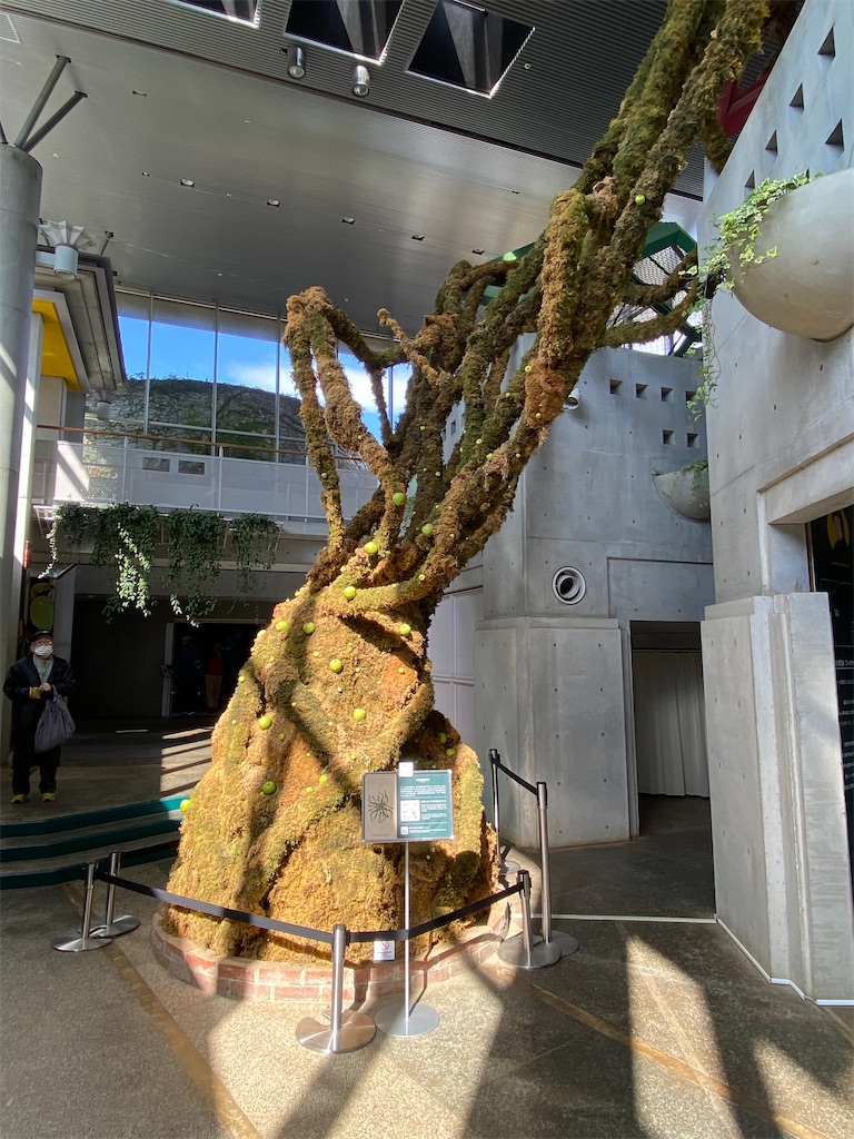 f:id:AkasakaIchiro:20251124214135j:image f:id:AkasakaIchiro:20251124214135j:image