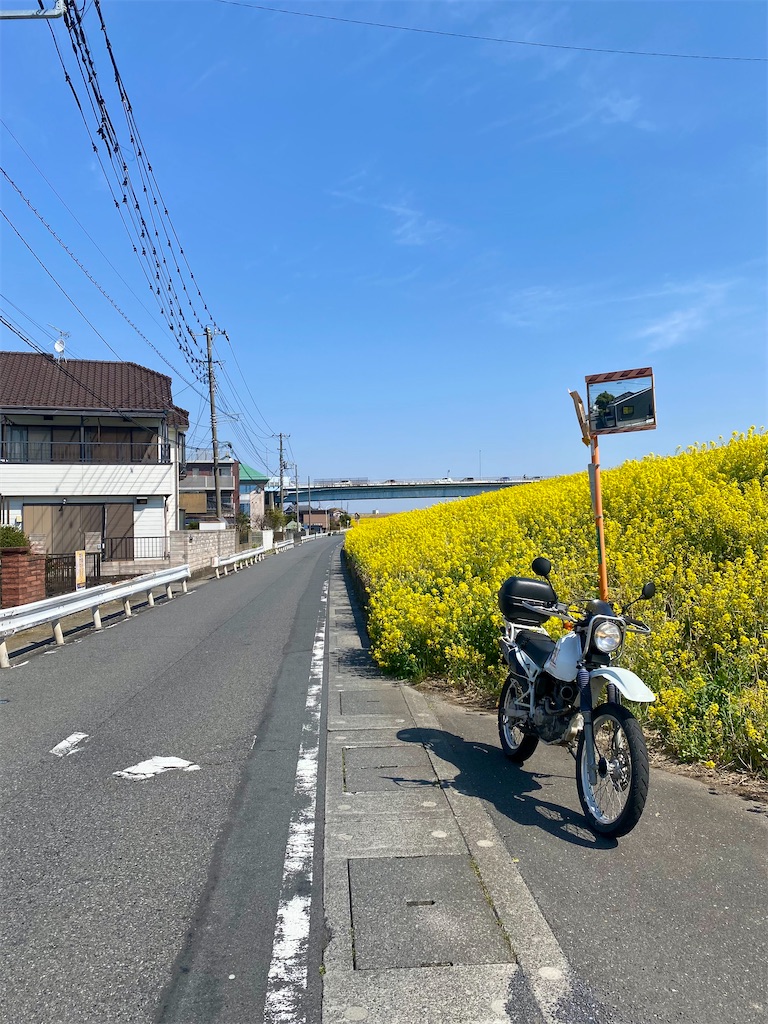 f:id:AkasakaIchiro:20260329222307j:image