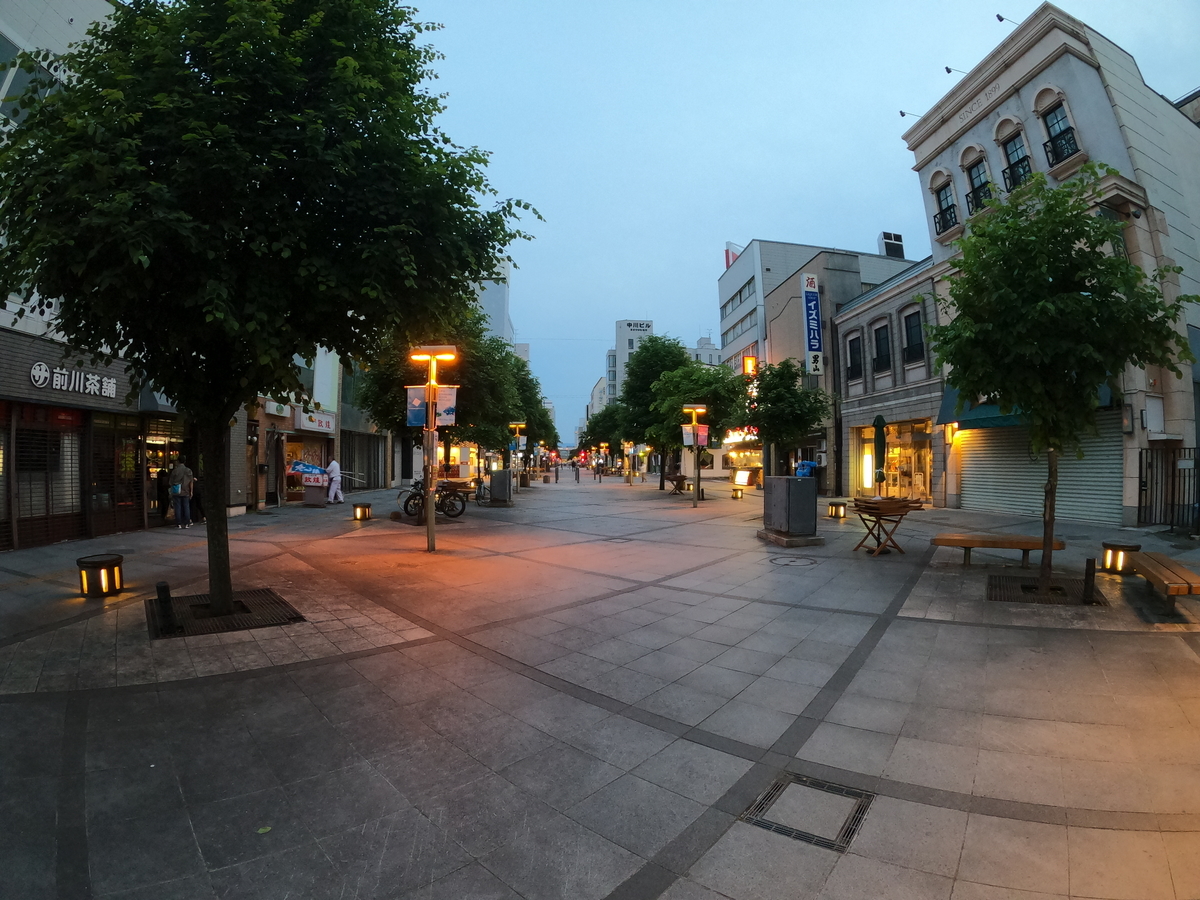 f:id:AkatsukiDiary:20210613190432j:plain