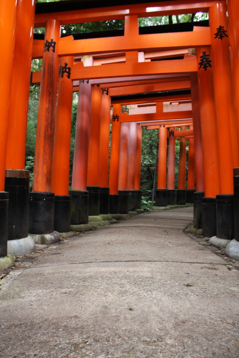 f:id:AkatsukiDiary:20210923210901j:plain